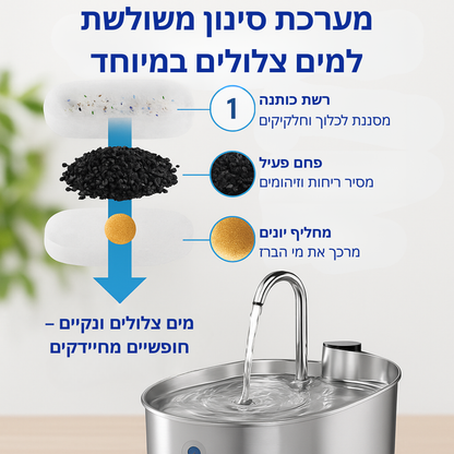 הארכו את חיי החתול שלכם עם מערכת המסננים של Hannifit