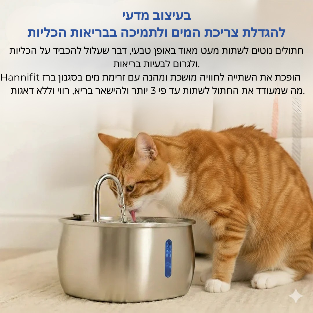 הארכו את חיי החתול שלכם עם מערכת המסננים של Hannifit