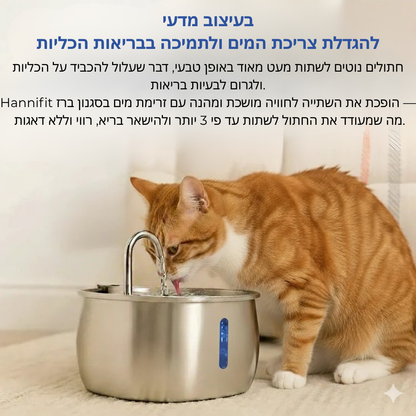 הארכו את חיי החתול שלכם עם מערכת המסננים של Hannifit