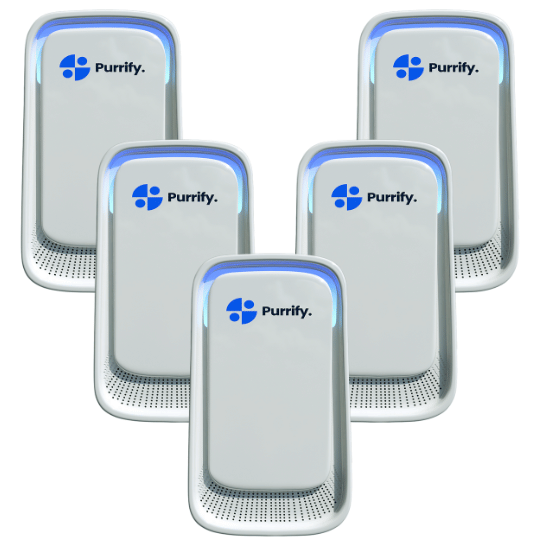 Purrify®