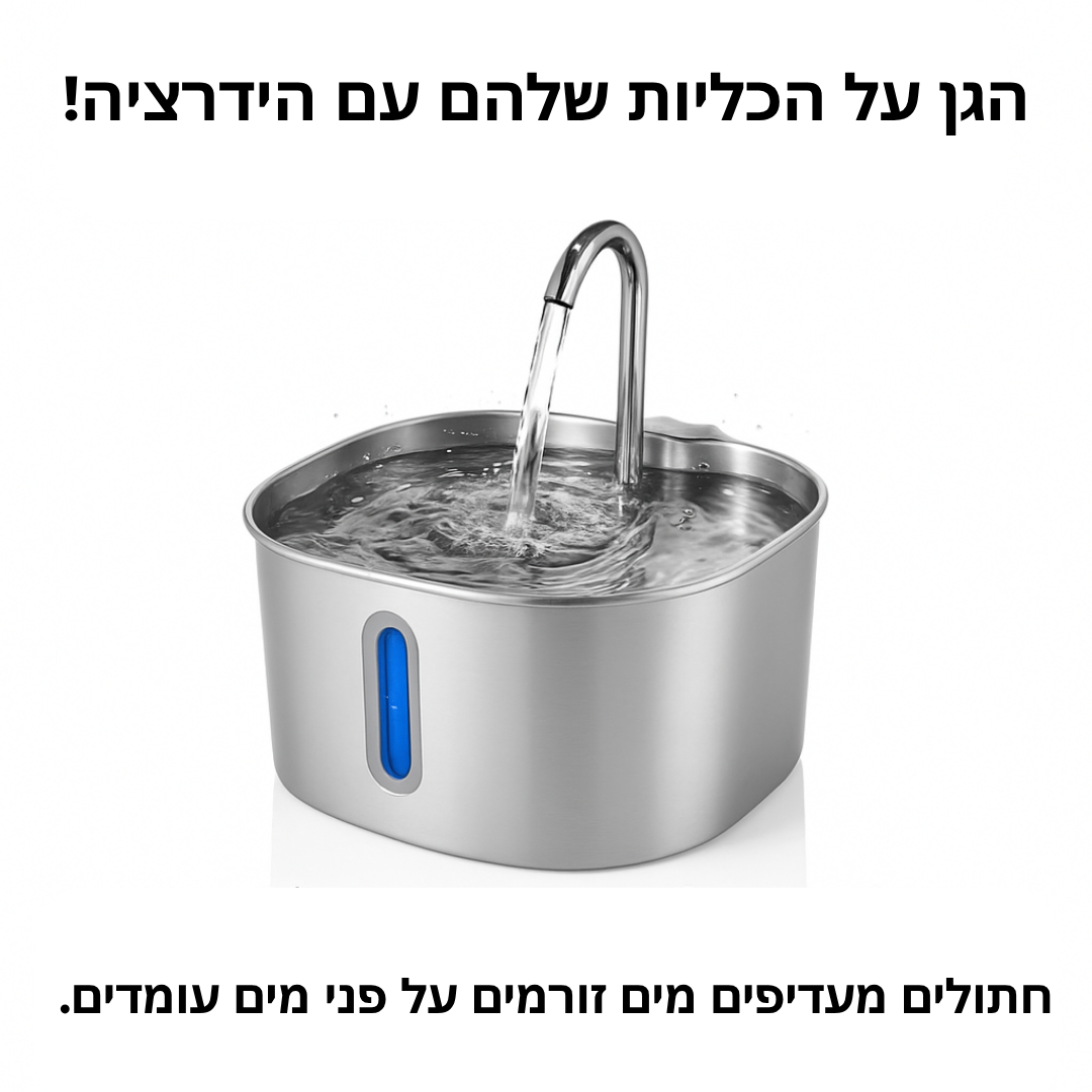 הארכו את חיי החתול שלכם עם מערכת המסננים של Hannifit