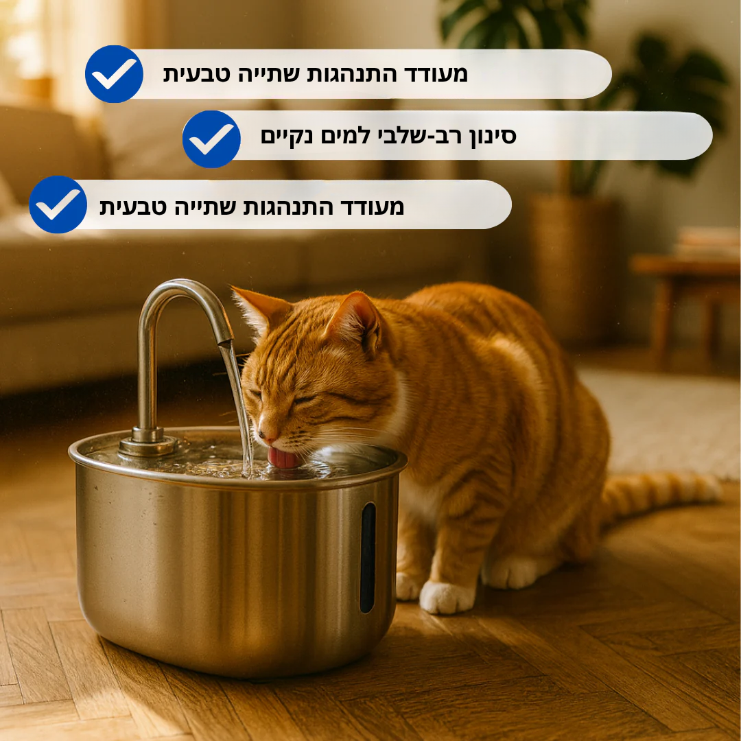 הארכו את חיי החתול שלכם עם מערכת המסננים של Hannifit
