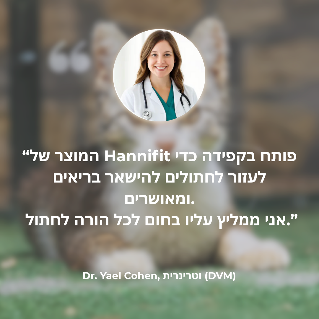 הארכו את חיי החתול שלכם עם מערכת המסננים של Hannifit