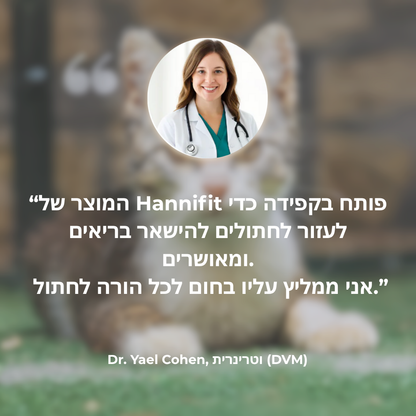 הארכו את חיי החתול שלכם עם מערכת המסננים של Hannifit