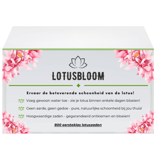 LotusBloom®