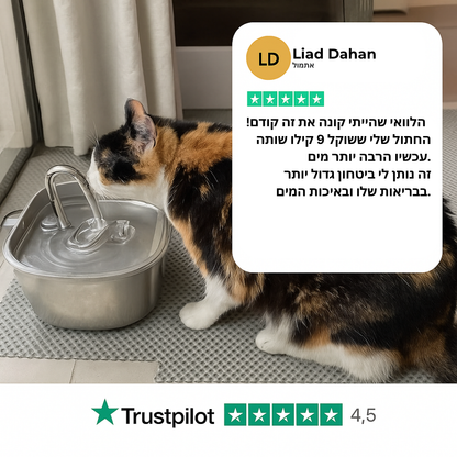 הארכו את חיי החתול שלכם עם מערכת המסננים של Hannifit